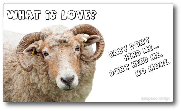What is Love Sheep Herder Sticker